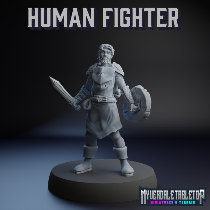 Human Fighter's Cover