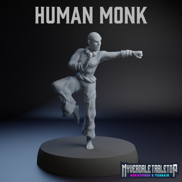 Human Monk's Cover
