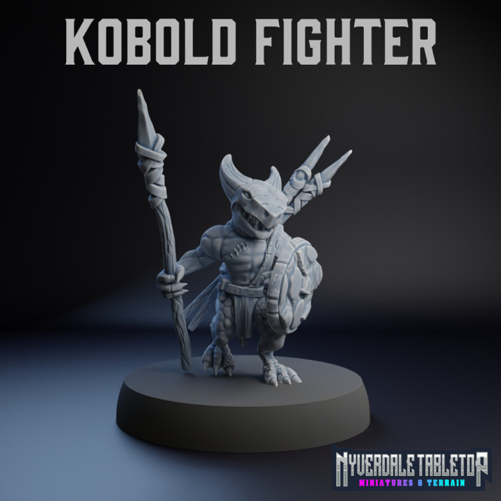 Kobold Fighter's Cover