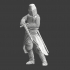Medieval Knight in defensive sword pose image