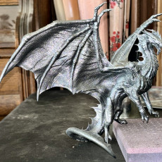 Picture of print of Metallic Dragon Silver