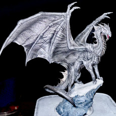 Picture of print of Metallic Dragon Silver