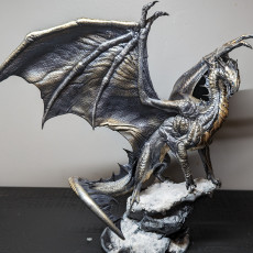 Picture of print of Silver Dragon