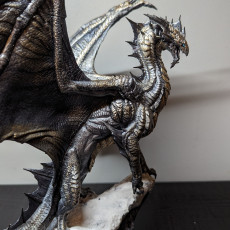Picture of print of Silver Dragon