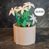 Charming lily plant for the office or home image