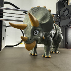 Picture of print of Triceratops, Articulated fidget Dinosaur, Print-In-Place, Cute Animal