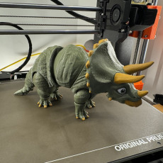 Picture of print of Triceratops, Articulated fidget Dinosaur, Print-In-Place, Cute Animal
