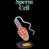 Sperm Cell image