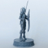 Araniel elf girl 12 spear shield image