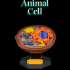 Animal Cell image