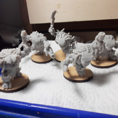 Picture of print of Orc Trackers Squad