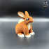 Cute Bunny Egg Holder image