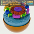 Animal Cell Educational Model with Removable Organelles MineeForm FDM 3D Print STL File image