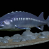 Beluga Sturgeon Underwater Statue for 3d print image