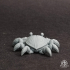 Crab Pinchy print image