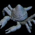 Eldritch Crab image