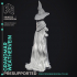 Grandmar Weathervein - Black Witch -  PRESUPPORTED - Illustrated and Stats - 32mm scale image