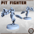 Fighting Pit with 2x Pit Fighters image