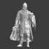 Kievan Rus Medieval Elite Guard with flail image