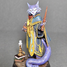 Picture of print of Arthur, the Spellmeowster