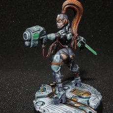 Picture of print of Shadowblade Assassin - Defiant