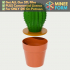 Cute Cactus Plant in Flower Pot Container with Secret Compartment MineeForm FDM 3D Print STL File image