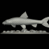 gudgeon / gobio gobio underwater statue detailed texture for 3d printing image
