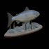 Atlantic salmon / salmo salar / losos obecný fish underwater statue detailed texture for 3d printing image