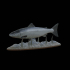 Atlantic salmon / salmo salar / losos obecný fish underwater statue detailed texture for 3d printing image