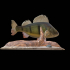 fish in motion perch 2.0 underwater statue detailed texture for 3d printing image