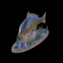 fish in motion carp 2.0 underwater statue detailed texture for 3d printing image