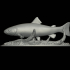 fish in motion rainbow trout 2.0 underwater statue detailed texture for 3d printing image