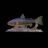 fish in motion rainbow trout 2.0 underwater statue detailed texture for 3d printing image