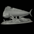 mahi mahi / dorado 2.0 underwater statue detailed texture for 3d printing image