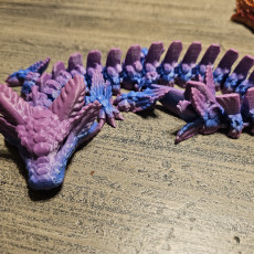 Picture of print of Axolotl Dragon