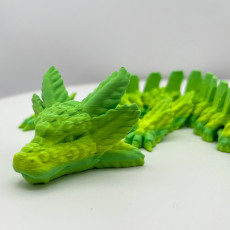 Picture of print of Axolotl Dragon