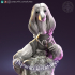 Beatrice Afghan Hound Lady image