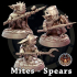 DND Mites - All variants image