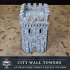 City Walls Towers image
