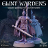 3x Glint Wardens - Pre-Supported image