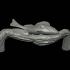 perch underwater statue on the wall detailed texture for 3d printing image